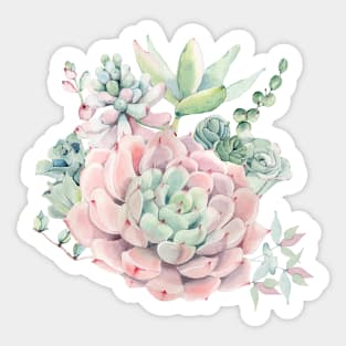 Beautiful Watercolor Succulents Sticker